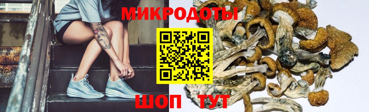 Псилоцибиновые грибы Psilocybine cubensis  хочу   Славянск-на-Кубани 